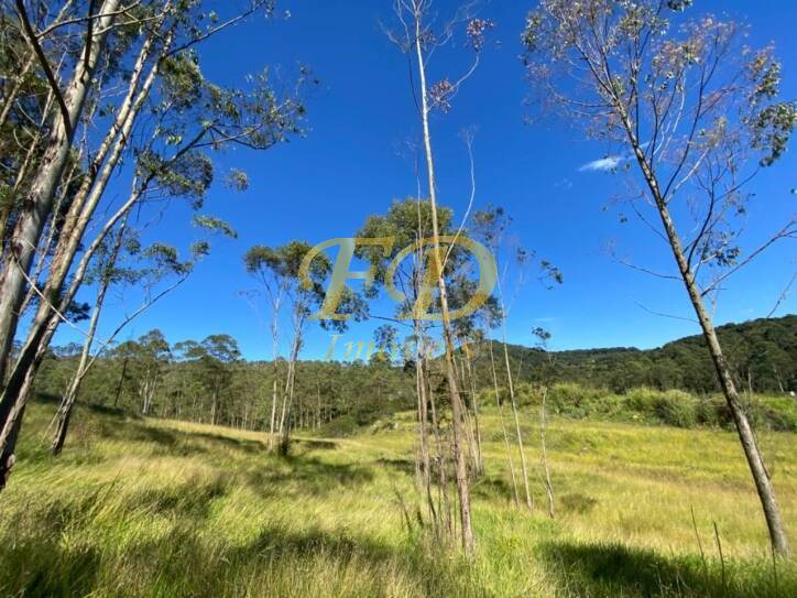 Terreno à venda, 320000m² - Foto 17