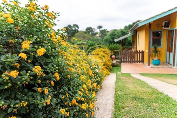 Fazenda à venda com 4 quartos, 370m² - Foto 44