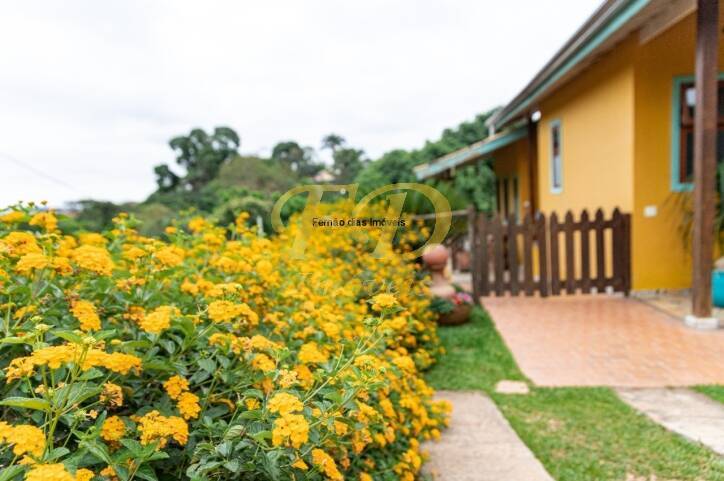 Fazenda à venda com 4 quartos, 370m² - Foto 51