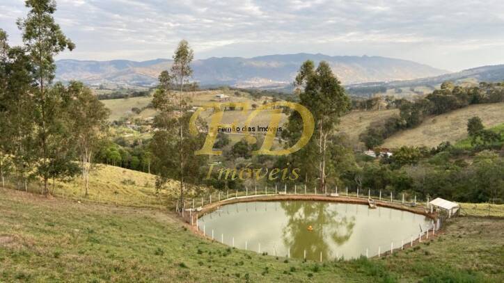 Fazenda à venda com 4 quartos, 600m² - Foto 8