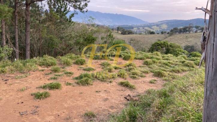 Fazenda à venda com 4 quartos, 600m² - Foto 32