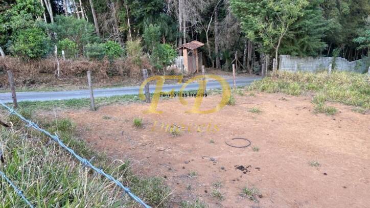 Fazenda à venda com 4 quartos, 600m² - Foto 33