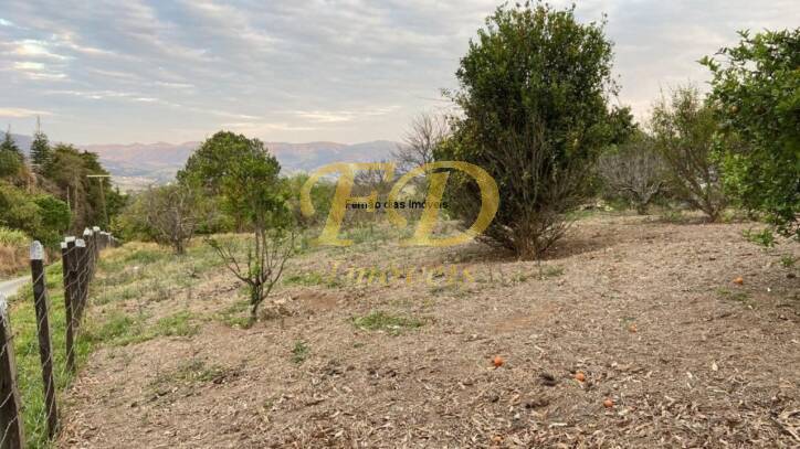 Fazenda à venda com 4 quartos, 600m² - Foto 34