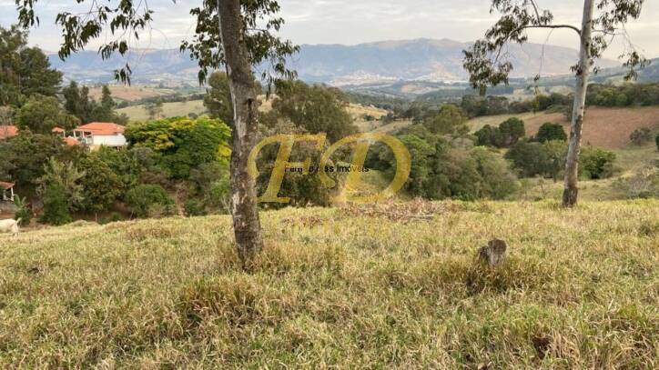 Fazenda à venda com 4 quartos, 600m² - Foto 37