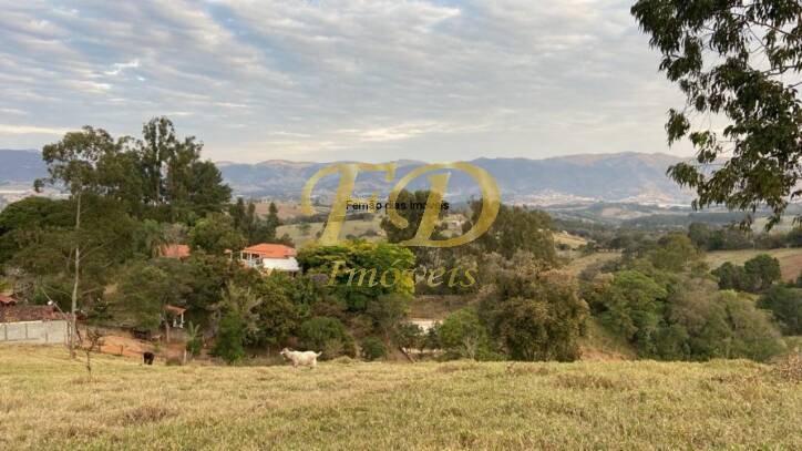 Fazenda à venda com 4 quartos, 600m² - Foto 38