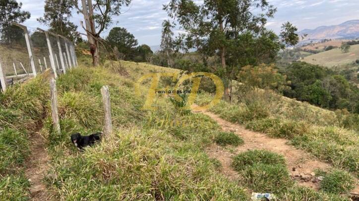 Fazenda à venda com 4 quartos, 600m² - Foto 41