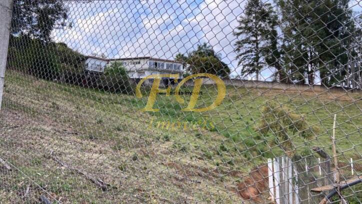 Fazenda à venda com 4 quartos, 600m² - Foto 44