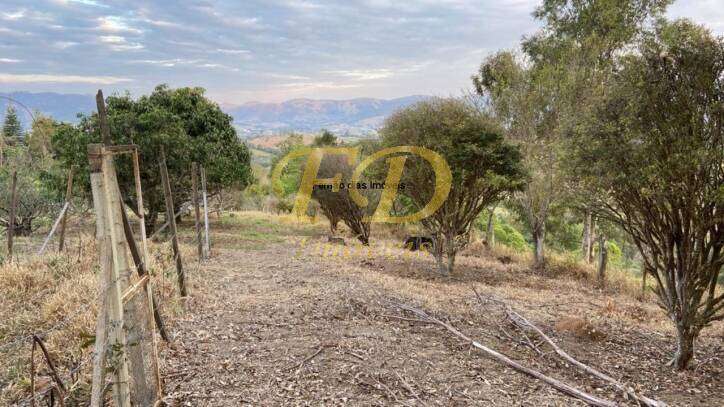 Fazenda à venda com 4 quartos, 600m² - Foto 45