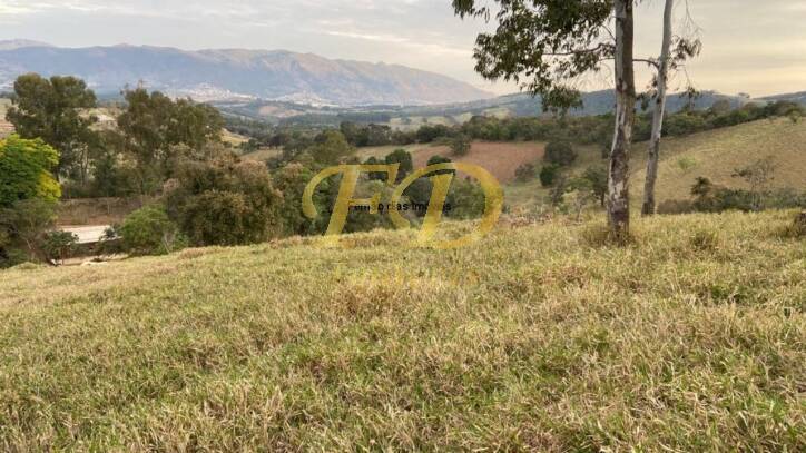 Fazenda à venda com 4 quartos, 600m² - Foto 46